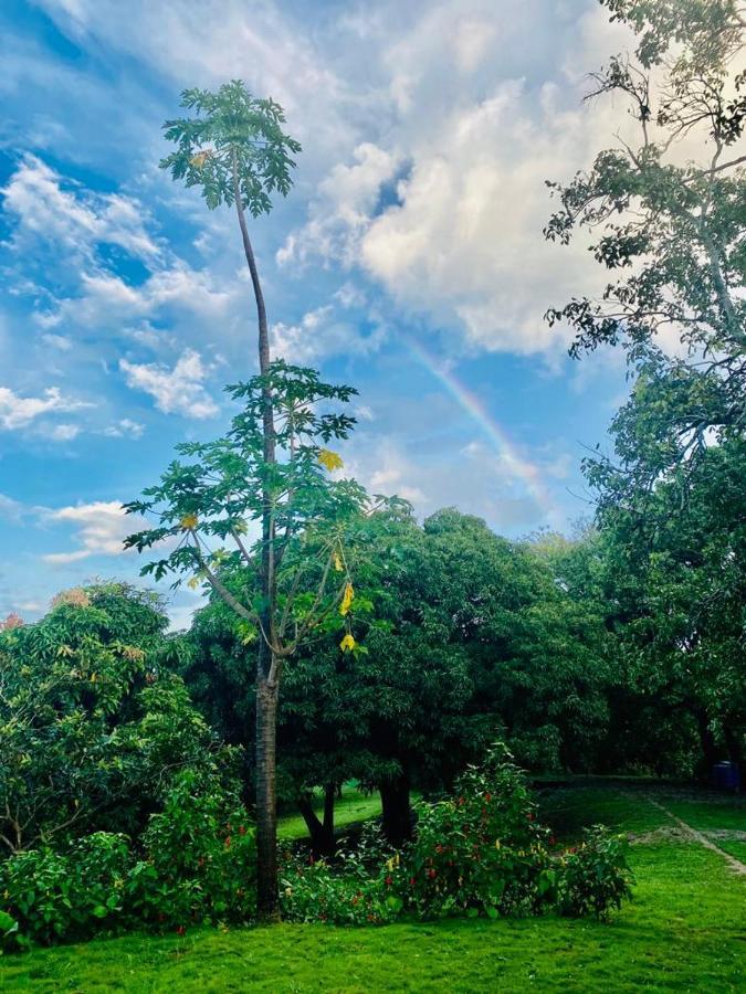 Cabana Familiar En Afra Reserva Natural Otel Bonda Dış mekan fotoğraf